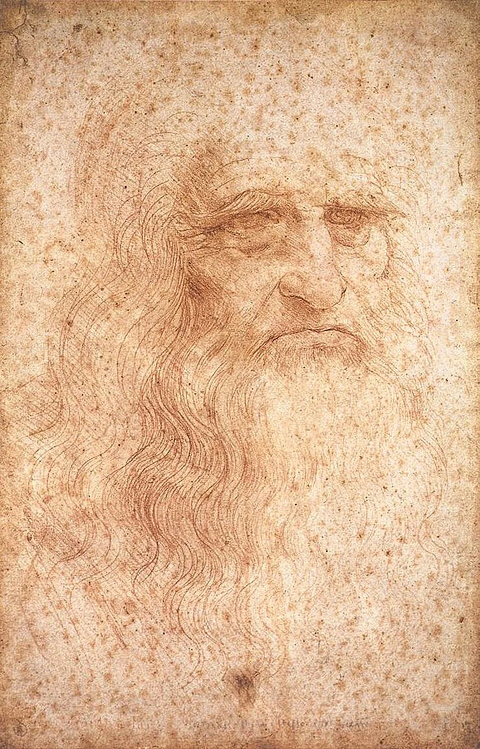 Leonardo da Vinci's red-chalk self-portrait in three-quarter view